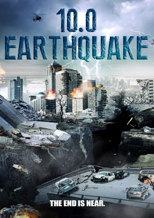 10.0 Earthquake 2014 Hindi Dual Audio 720p BluRay [800MB] Movie Poster