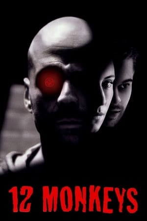 12 Monkeys (1995) Hindi Dual Audio 480p BluRay 400MB Movie Poster