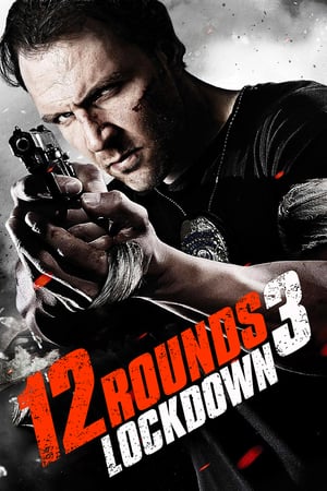 12 Rounds 3 Lockdown 2015 Hindi Dual Audio 720p BluRay [780MB] Movie Poster