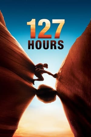 127 Hours (2010) Hindi Dual Audio 480p BluRay 330MB Movie Poster