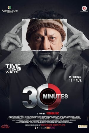 30 Minutes (2016) Hindi Movie 720p HDRip x264 [840MB] Movie Poster