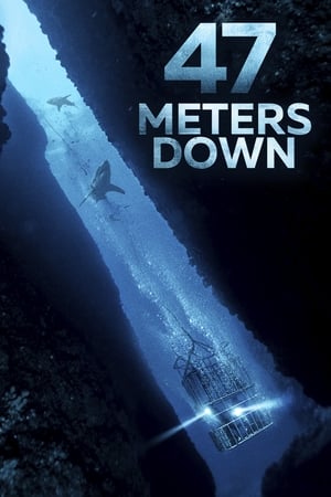 47 Metres Down (2017) Hindi Dual Audio 720p BluRay [850MB] Movie Poster