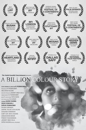 A Billion Colour Story 2016 Movie 480p HDRip - [330MB] Movie Poster