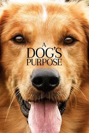 A Dog's Purpose (2017) Full Movie HDCAM 850MB Movie Poster