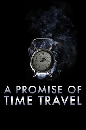 A Promise of Time Travel 2016 Hindi Dual Audio 480p Web-DL 300MB Movie Poster