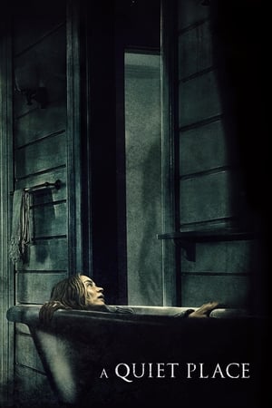 A Quiet Place 2018 Hindi Dual Audio 480p BluRay 300MB Movie Poster