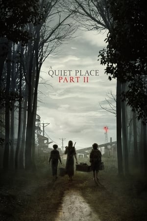 A Quiet Place Part II (2021) Hindi Dual Audio 480p HDRip 450MB Movie Poster