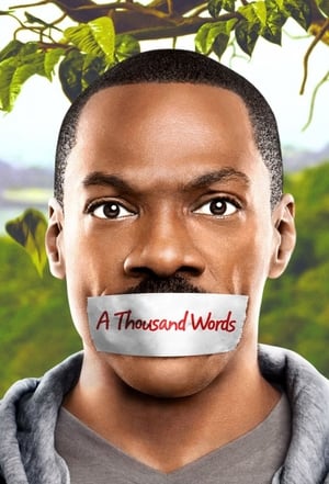 A Thousand Words (2012) Hindi Dual Audio 480p BluRay 300MB Movie Poster