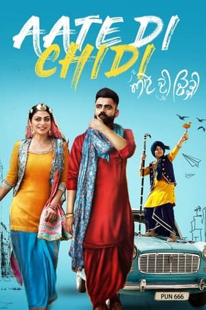 Aate di chidi (2018) Punjabi Movie 480p HDRip - [400MB] Movie Poster