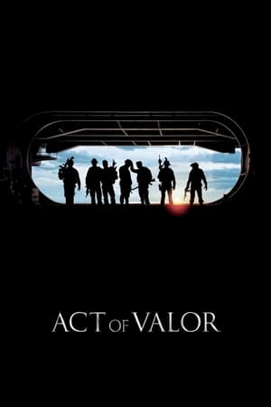 Act of Valor (2012) Hindi Dual Audio 480p BluRay 390MB Movie Poster