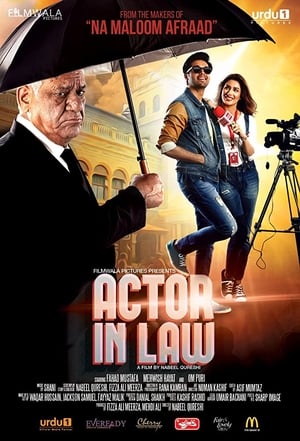 Actor in Law (2016) Movie Pakistani HDRip 720p [1.2GB] Download Movie Poster