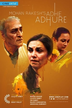 Adhe Adhure 2017 Full Movie HDRip 720p [880MB] Download Movie Poster