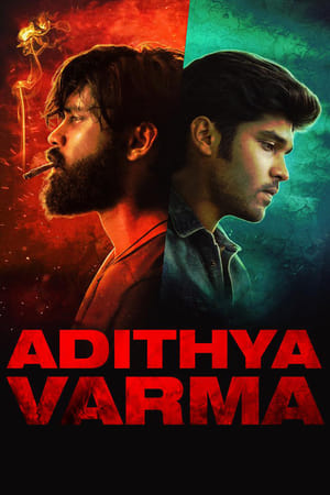 Adithya Varma 2019 (Hindi -Tamil) Dual Audio 720p UnCut HDRip [1.2GB] Movie Poster