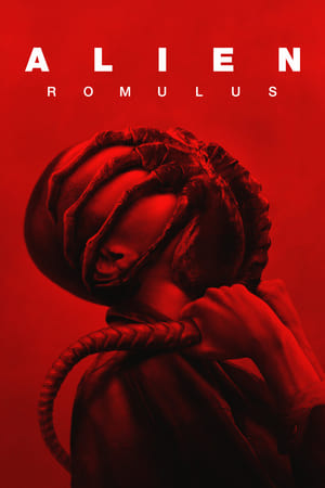 Alien: Romulus 2024 Hindi (Org) Dual Audio Web-DL 1080p – 720p – 480p Movie Poster