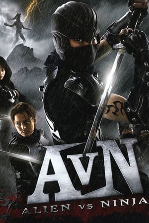 Alien vs Ninja 2010 Hindi Dual Audio 720p Web-DL [650MB] Movie Poster