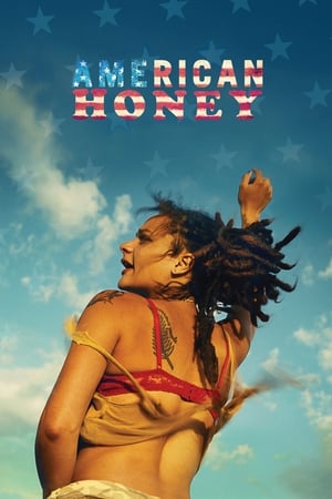 American Honey (2016) Hindi Dual Audio 480p BluRay 500MB Movie Poster