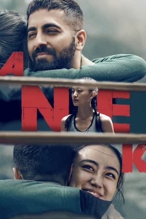 Anek 2022 Hindi Movie HDRip 720p – 480p Movie Poster