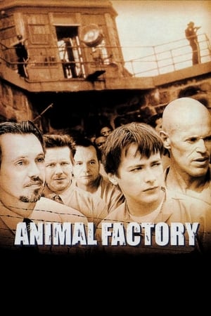 Animal Factory (2000) Hindi Dual Audio 480p BluRay 300MB Movie Poster