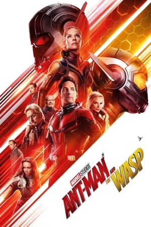 Ant Man and the Wasp (2018) Hindi Dual Audio 480p BluRay 350MB Movie Poster