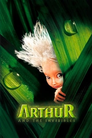 Arthur and the Invisibles (2006) Hindi Dual Audio 480p BluRay 300MB Movie Poster