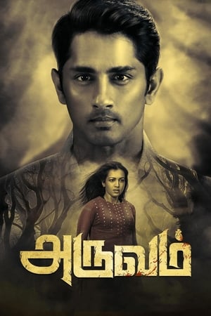 Aruvam (2019) (Hindi -Tamil) Dual Audio 720p UnCut HDRip [1.4GB] Movie Poster