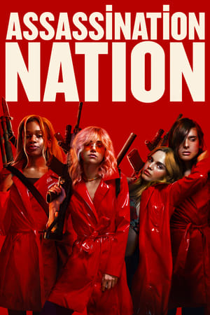 Assassination Nation (2018) Hindi Dual Audio 480p BluRay 400MB Movie Poster