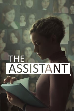 Assistant 2021 Hindi (Fan Dub) Dual Audio 720p WebRip [650MB] Movie Poster