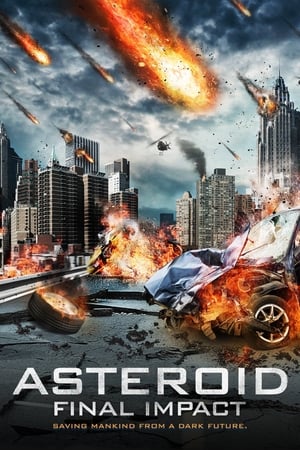 Asteroid: Final Impact (2015) Hindi Dual Audio 720p BluRay [1.1GB] Movie Poster