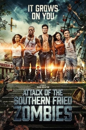 Attack of the Southern Fried Zombies (2017) Hindi Dual Audio 480p BluRay 300MB Movie Poster