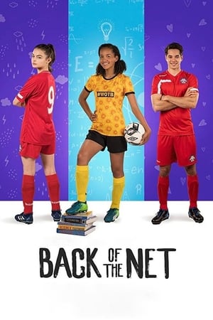 Back of the Net (2019) Hindi Dual Audio 720p Web-DL [800MB] Movie Poster