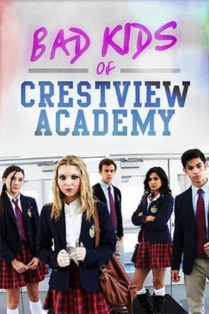 Bad Kids of Crestview Academy (2017) Hindi Dual Audio 480p Web-DL 330MB Movie Poster