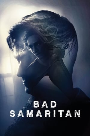 Bad Samaritan (2018) Hindi Dual Audio 480p BluRay 400MB Movie Poster