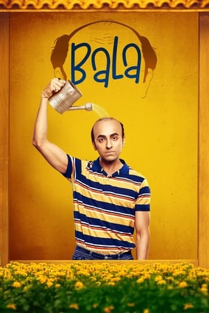 Bala 2019 Hindi Movie 720p HDRip x264 [1GB] Movie Poster