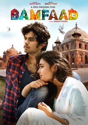 Bamfaad 2020 Hindi Movie 720p HDRip x264 [790MB] Movie Poster