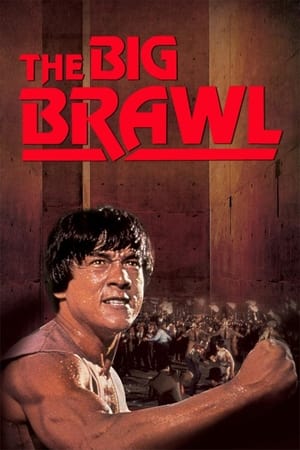 Battle Creek Brawl (1980) Hindi Dual Audio 480p BluRay 300MB Movie Poster