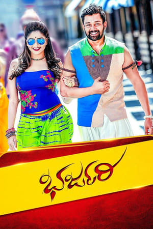 Bharjari 2017 Dual Audio Hindi Full Movie 720p UNCUT HDRip - 1.7GB Movie Poster