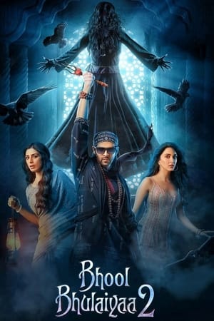 Bhool Bhulaiyaa 2 2022 Hindi Movie Web-DL 720p – 480p Movie Poster