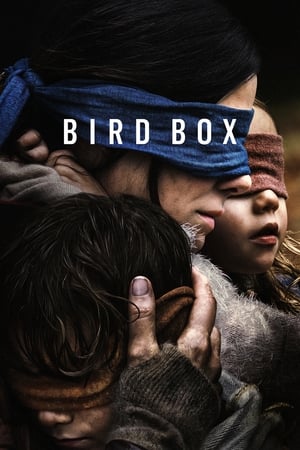 Bird Box 2018 Hindi (HQ DUBBED) Dual Audio 720p WehRip [1.1GB] Movie Poster