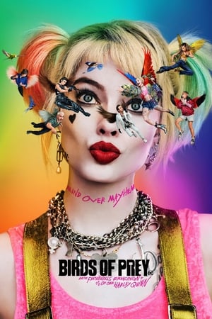 Birds of Prey (2020) Hindi (ORG) Dual Audio 480p HDRip 450MB Movie Poster