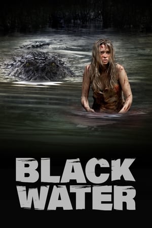 Black Water (2007) Hindi Dual Audio 720p BluRay [1GB] Movie Poster