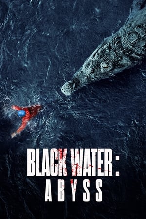 Black Water: Abyss (2020) Hindi Dual Audio 480p HDRip 400MB Movie Poster