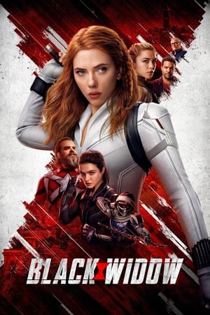 Black Widow (2021) Hindi Dual Audio 480p HDRip 450MB Movie Poster