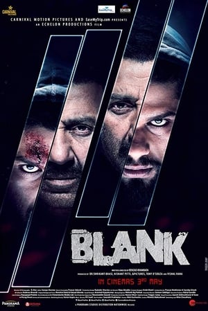 Blank (2019) Hindi Movie 720p HDRip x264 - [850MB] Movie Poster