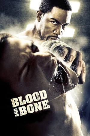 Blood and Bone (2009) Hindi Dual Audio 480p BluRay 300MB Movie Poster