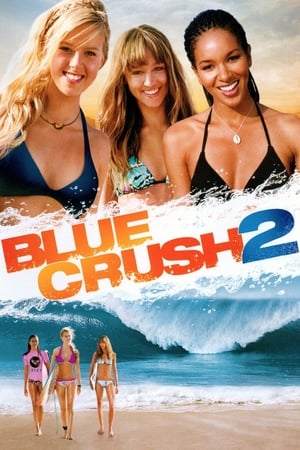 Blue Crush 2 (2011) Hindi Dual Audio 480p BluRay 350MB Movie Poster