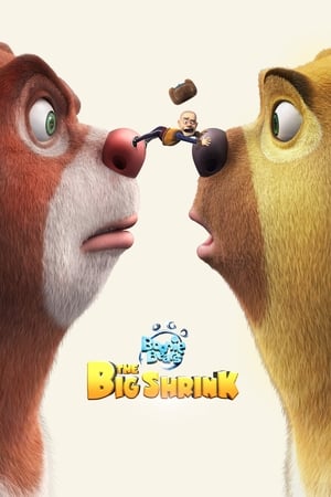 Boonie Bears The Big Shrink 2018 Hindi Dual Audio 720p WebRip [940MB] Movie Poster