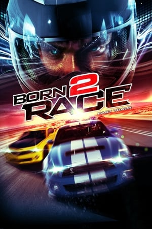 Born to Race Fast Track 2014 Hindi Dual Audio 720p BluRay [840MB] Movie Poster