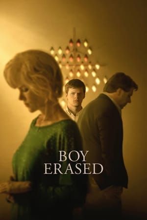 Boy Erased (2018) Hindi Dual Audio 480p BluRay 380MB Movie Poster