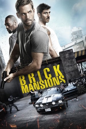 Brick Mansions (2014) Hindi Dual Audio 720p BluRay [950MB] Movie Poster