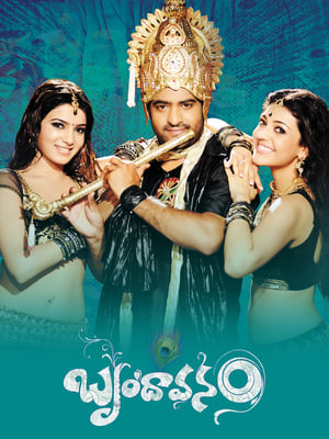 Brindavanam (The Super Khiladi) (2010) (Hindi – Telugu) Dual Audio 480p UnCut HDRip 600MB Movie Poster